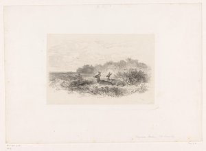 Paesaggio con due cervi dalla coda bianca (serie: Paesaggi con animali) da Karl Bodmer