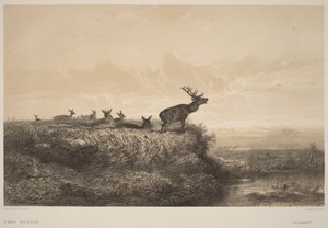 Il mattino da Karl Bodmer