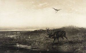  da Karl Bodmer