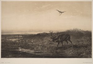  da Karl Bodmer