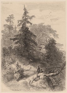 I fagiani da Karl Bodmer