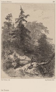 I Fagiani da Karl Bodmer