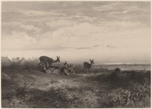 Les biches da Karl Bodmer