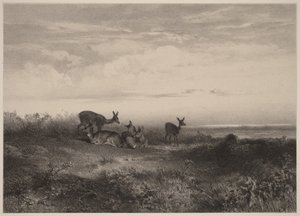  da Karl Bodmer