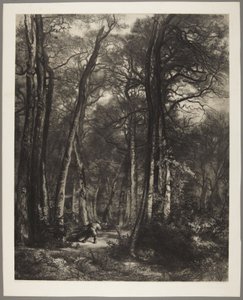  da Karl Bodmer