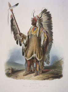 Mato-Tope, un capo Mandan da Karl Bodmer