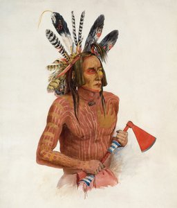 Mato-Tope, adornato con le insegne delle sue imprese belliche da Karl Bodmer