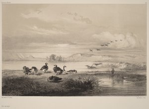  da Karl Bodmer