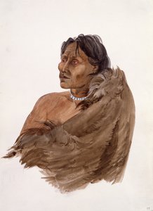  da Karl Bodmer