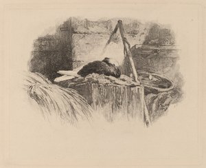 Piccione su un nido da Karl Bodmer