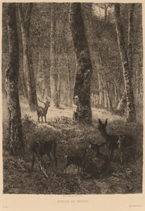 Ritorno al focolare da Karl Bodmer
