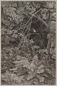  da Karl Bodmer