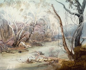 Il fiume Fox vicino a New Harmony, Indiana da Karl Bodmer