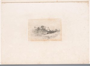 Due aironi sulla riva da Karl Bodmer