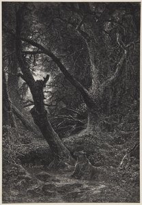  da Karl Bodmer