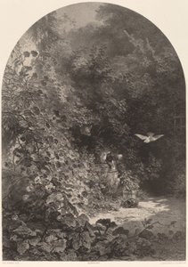 Un angolo di giardino