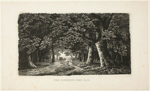 Sentiero nel bosco con una carrozza