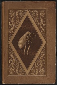 Meister Floh. Una Fiaba in Sette Avventure di Due Amici da Karl Friedrich Thiele, Ernst Theodor Amadeus Hoffmann
