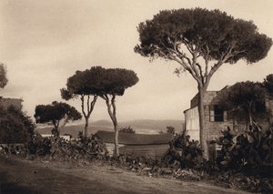 Libano, Paesaggio da Karl Grober
