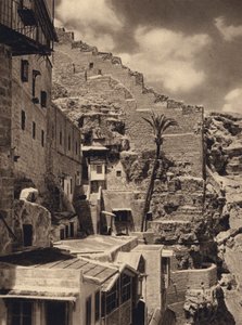 Mar Saba, Palma di San Saba da Karl Grober