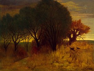 Paesaggio di brughiera da Karl Haider