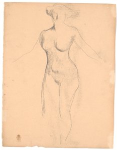 Modello femminile nudo in piedi visto dall
