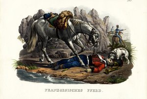 Cavallo francese, 1824 da Karl Joseph Brodtmann