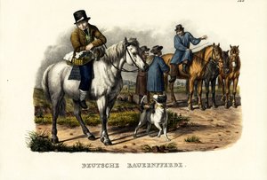 Cavalli da fattoria tedeschi, 1824 da Karl Joseph Brodtmann