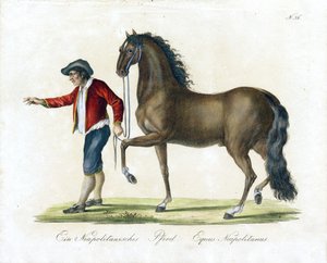  da Karl Joseph Brodtmann