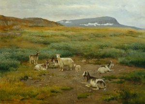 Capre al pascolo da Karl K. Uchermann