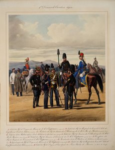 Prima divisione di cavalleria leggera, 1867