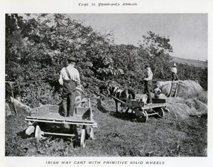 Carro di fieno irlandese con ruote solide primitive da Karl Karlovich Piratsky