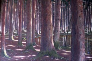 Foresta di abeti da Karl Lambrecht