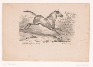 Cavallo al galoppo nel paesaggio da Karl Loeillot Hartwig