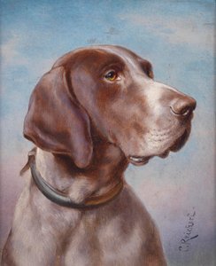 Ritratto di cane