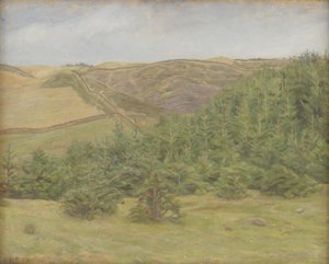 Colline di Svanninge, Fionia da Karl Schou