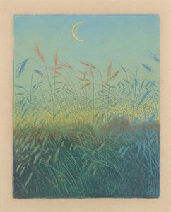 Campo di grano maturo: sera da Karl Wilhelm Arthur Illies