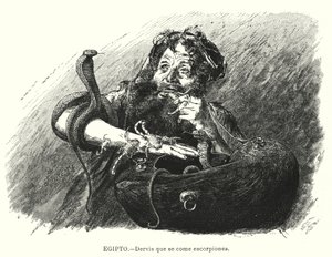 Derviscio che mangia scorpioni, Egitto da Karl Wilhelm Gentz