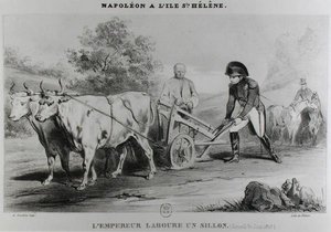 Napoleone (1769-1821) a Sant