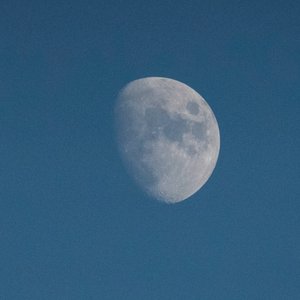Guarda la luna, 2021 (foto) da Katha Wood