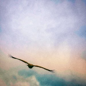 In volo, 2021 da Katha Wood