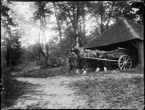 Groombridge, Speldhurst, Tunbridge Wells, Kent, 20/05/1911 da Katherine Jean Macfee