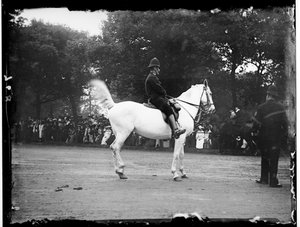 Hyde Park, City Of Westminster, London da Katherine Jean Macfee