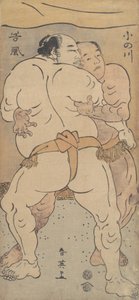 Due famosi lottatori Onogawa e Tanikase