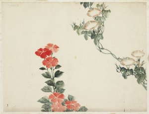 Gloria mattutina e fiori rossi da Katsushika (school of) Hokusai