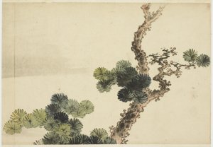 Ramo di pino da Katsushika (school of) Hokusai