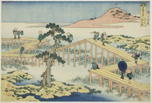 Vista antica del ponte a otto assi nella provincia di Mikawa (Mikawa no Yatsuhashi no kozu), dalla serie "Vedute insolite di ponti famosi in varie province (Shokoku meikyo kiran)"