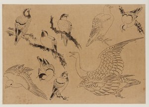 Uccelli, periodo Edo, fine XVIII-inizio XIX secolo da Katsushika Hokusai