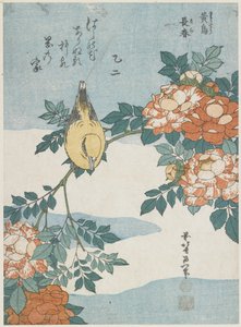 Rigogolo dal collare nero e rosa cinese, c. 1833 da Katsushika Hokusai
