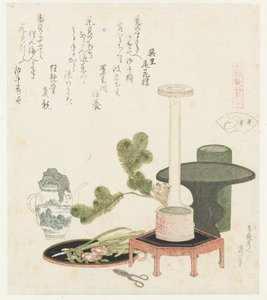 Conchiglia di fiore